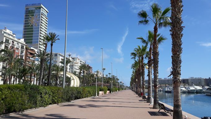Avenida Loring