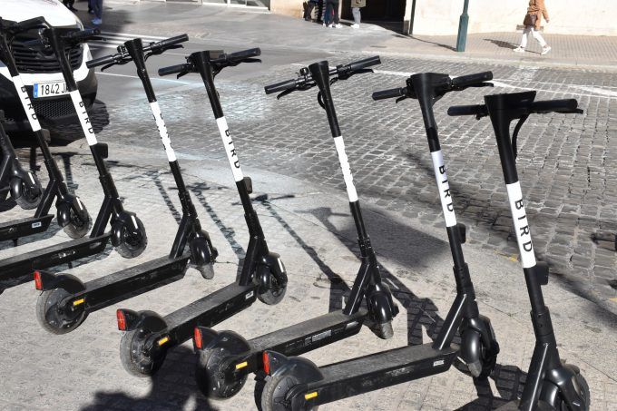 patinets bird alcoi