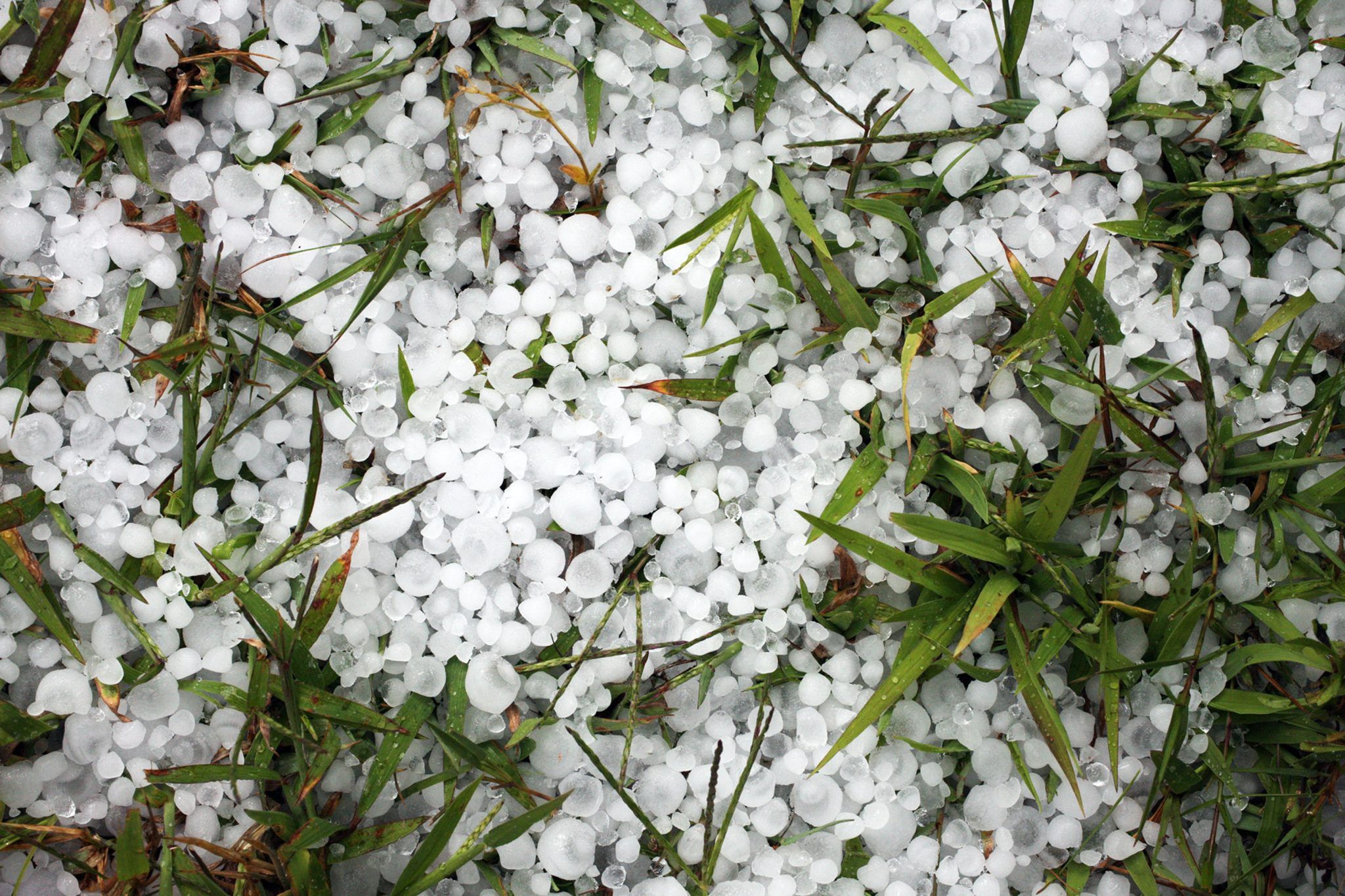 granizo