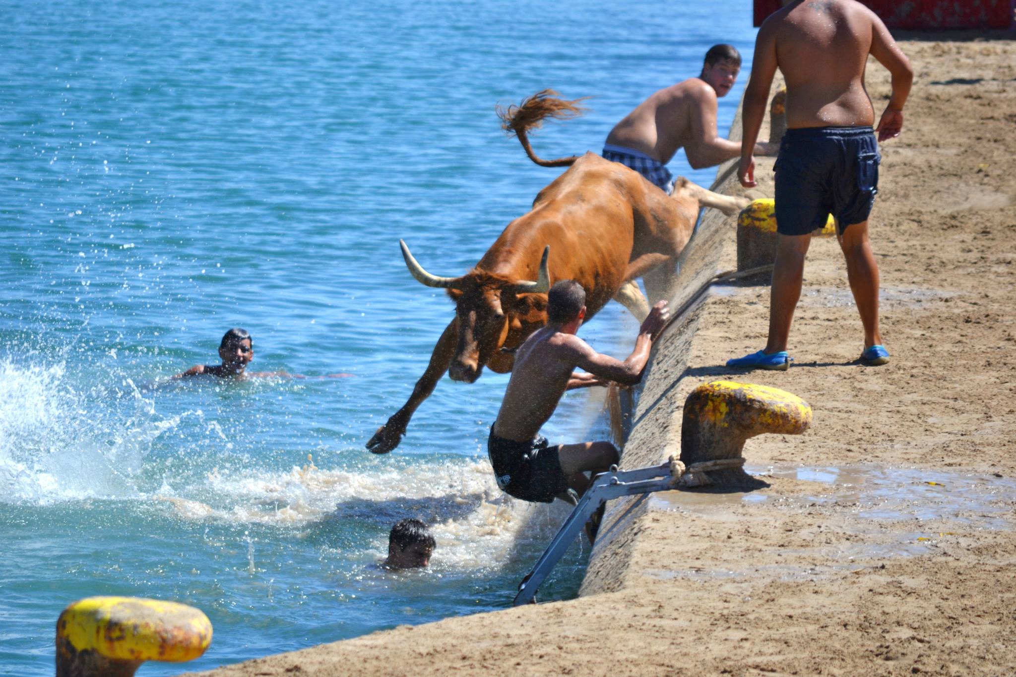 Bous a la Mar de Xàbia. Imagen de Bous A la Mar de Xàbia en Facebook