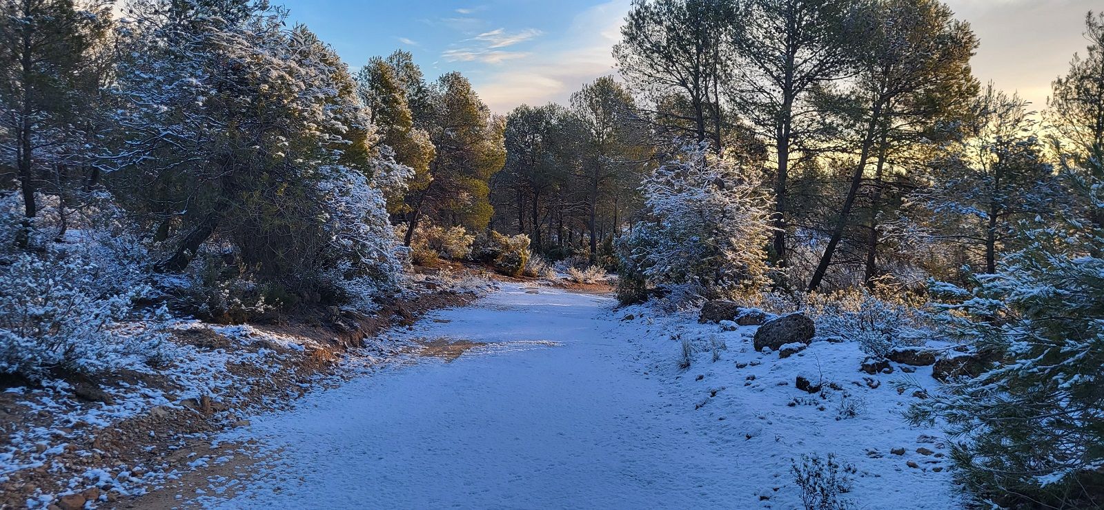 Nieve Alicante Nieve Alicante