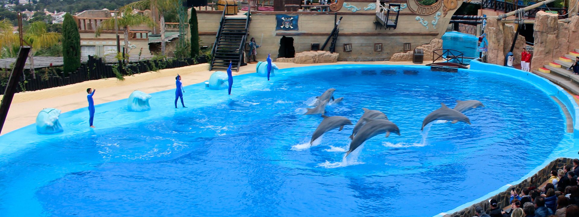 Delfines Mundomar Benidorm