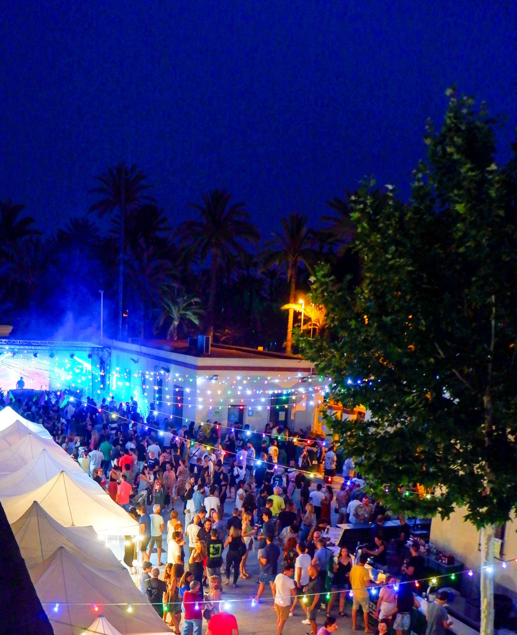 meed-festival-elx meed-festival-elx