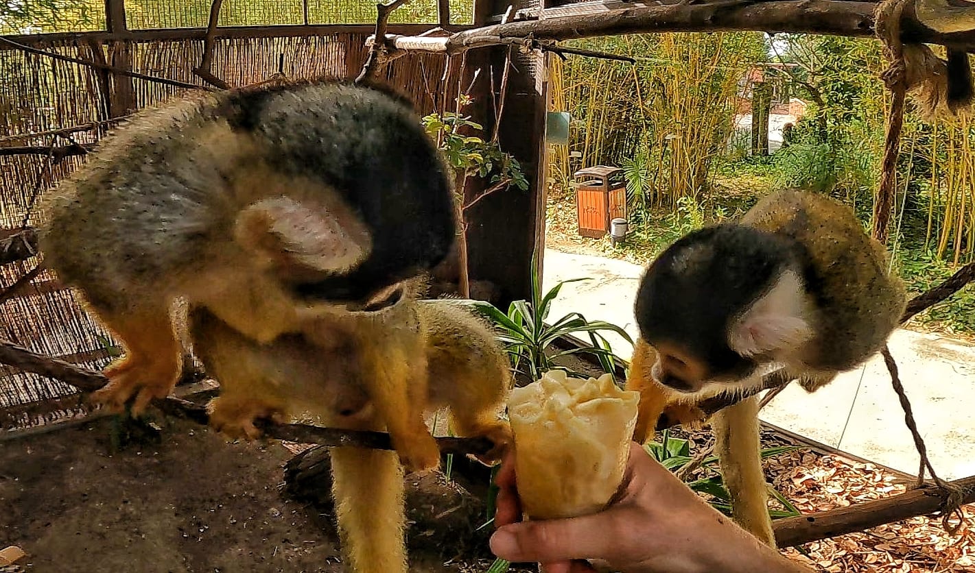 helados-terra-natura helados-terra-natura
