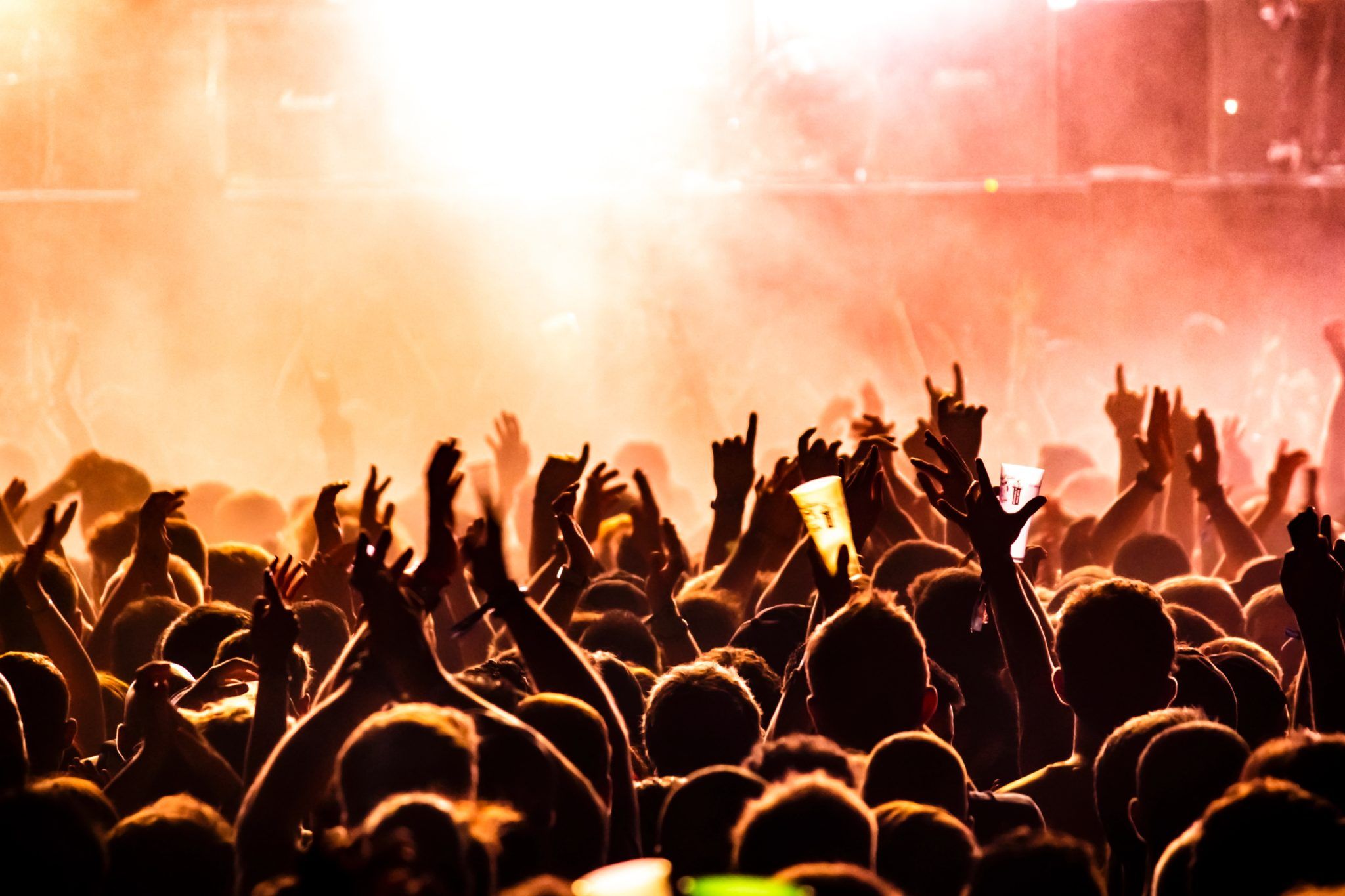 Público en un concierto Público en un concierto