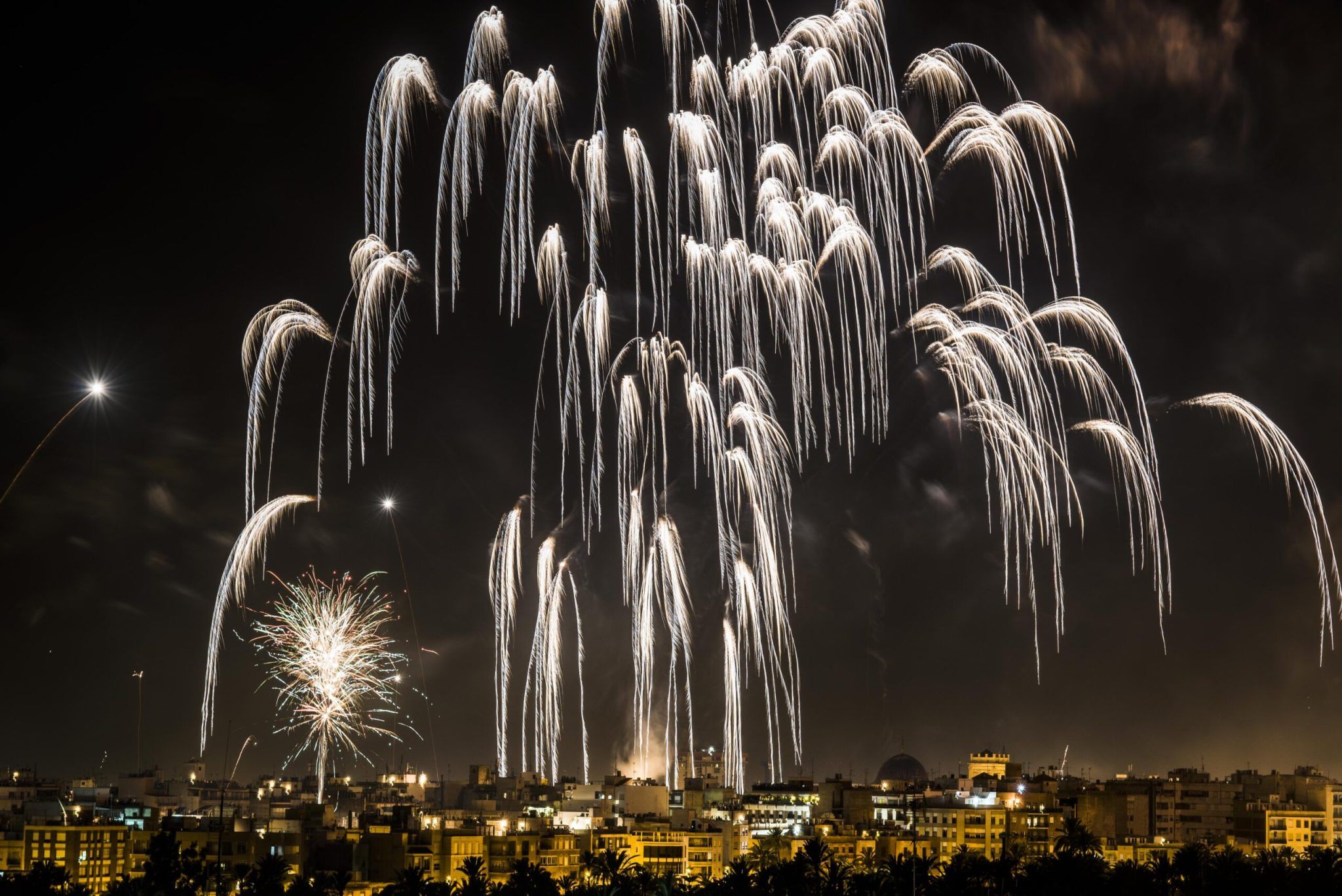 nit alba elche