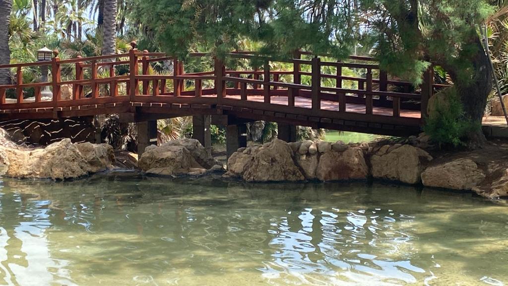 parque el palmeral alicante