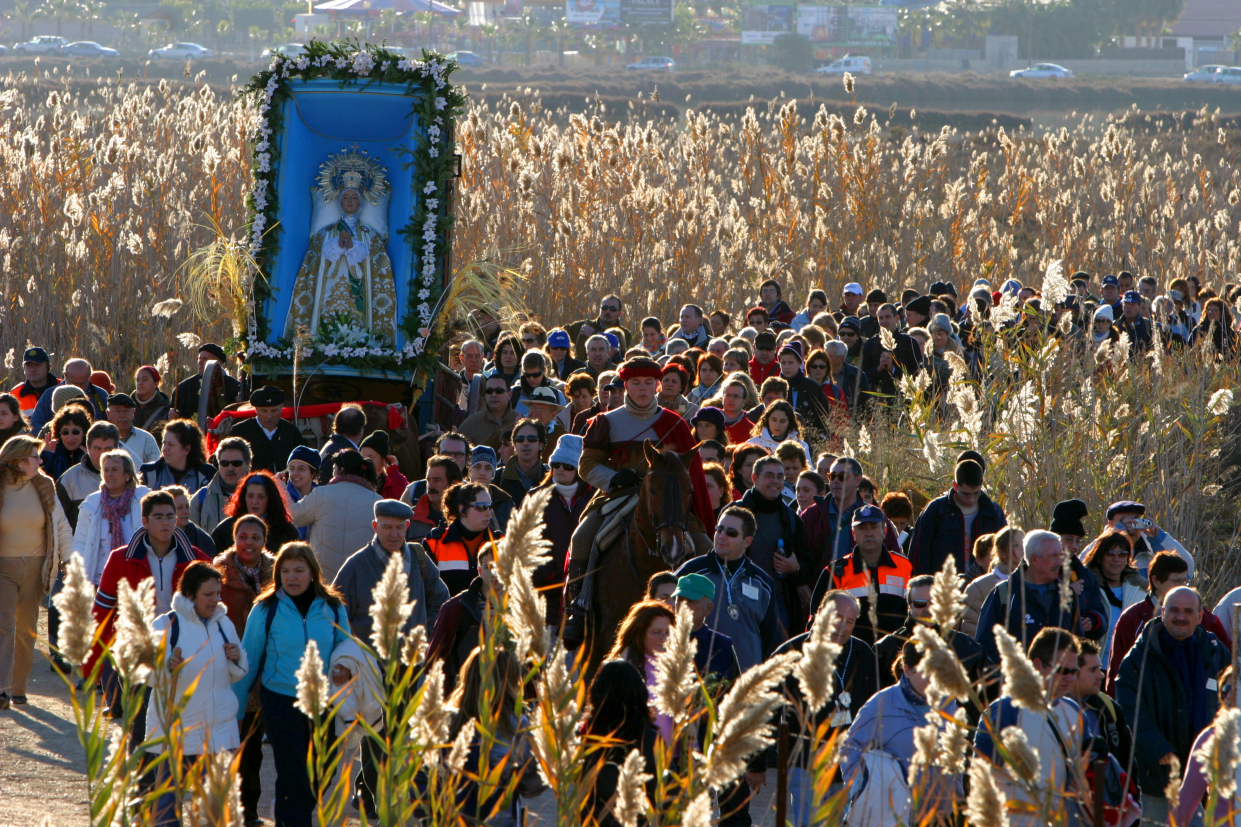 Romería de la Venida de la Virgen de Elche (Foto: Beatriz Navarro)