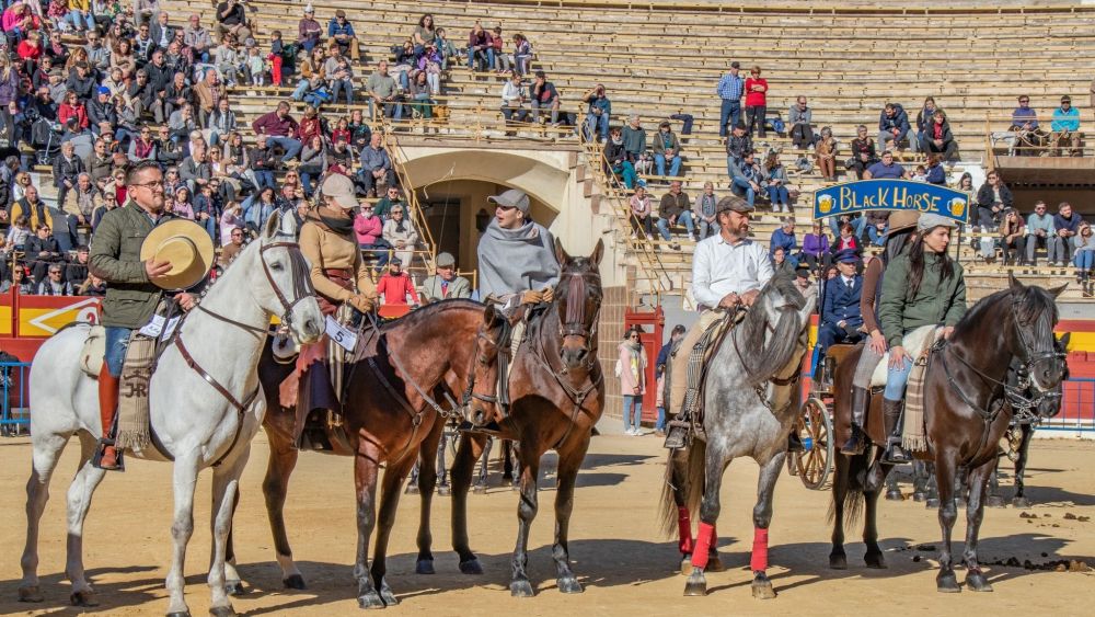 Concurso ecuestre de las fiestas del Porrate de San Antón en Alicante