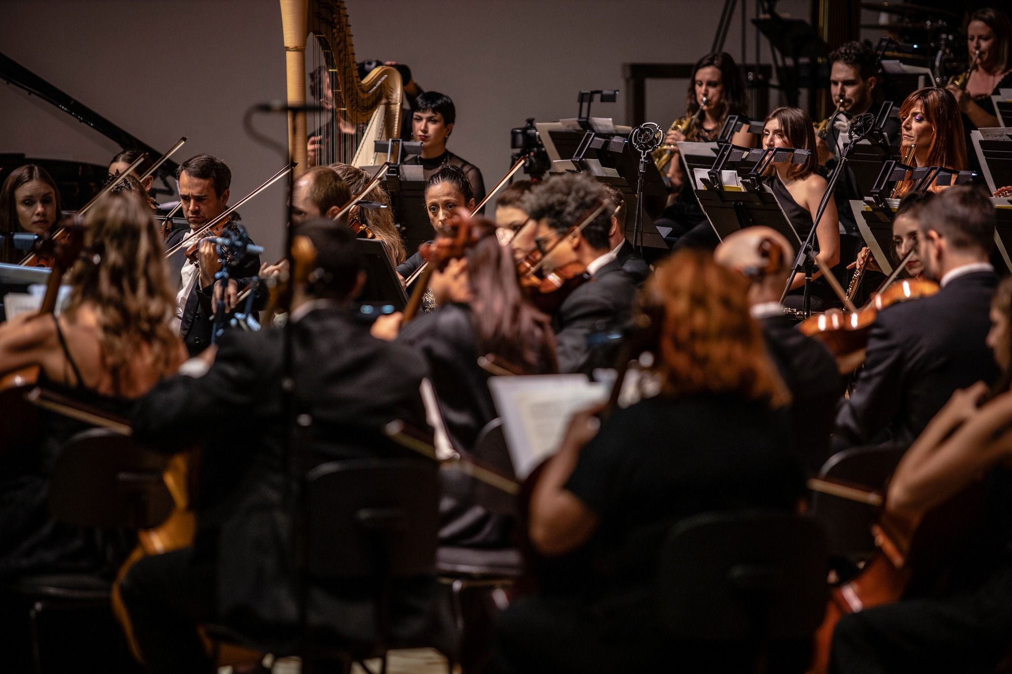 semana musical san vicente