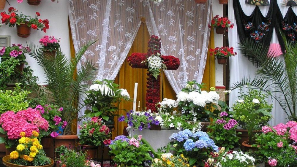 Una de las Cruces de Mayo en Alicante Una de las Cruces de Mayo en Alicante