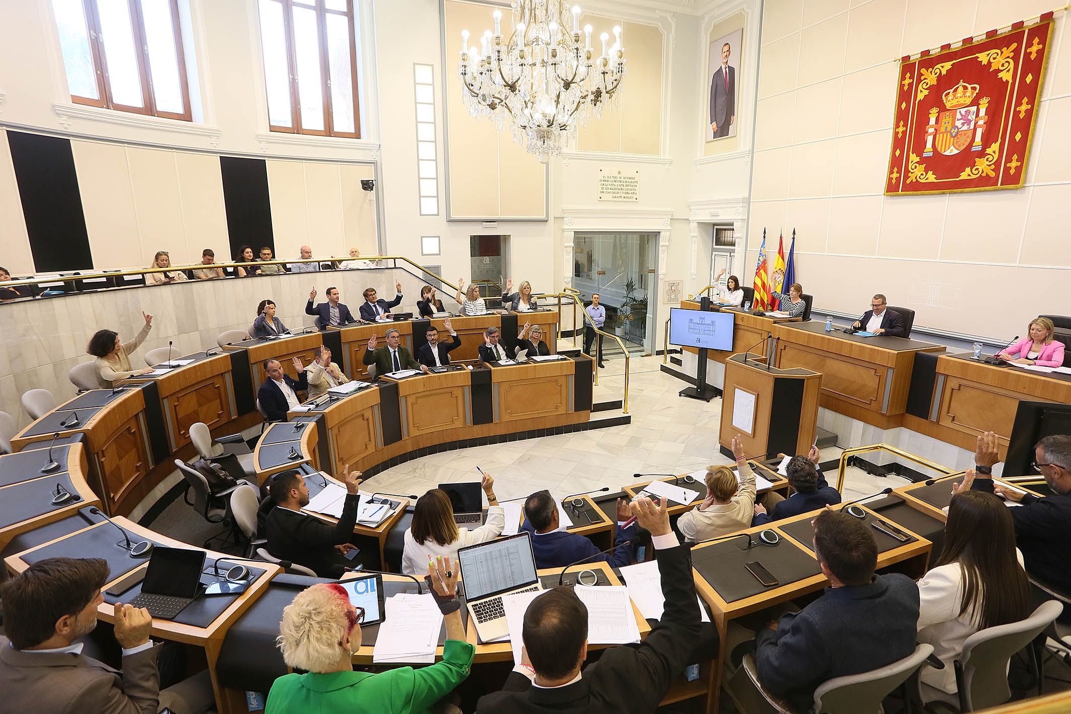 pleno diputación pleno diputación