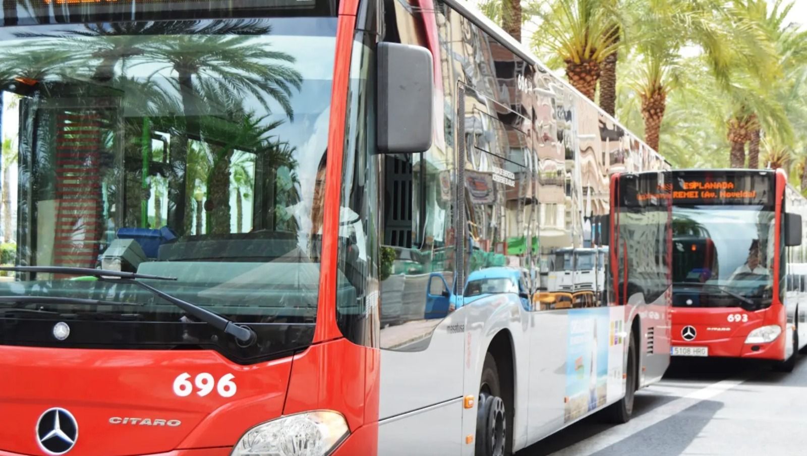 Autobús gratuito de Hogueras en Alicante