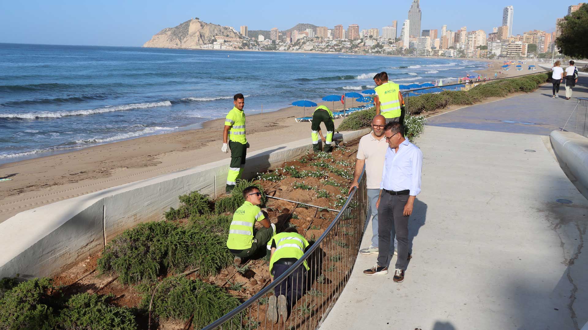 Jardinera a Benidorm