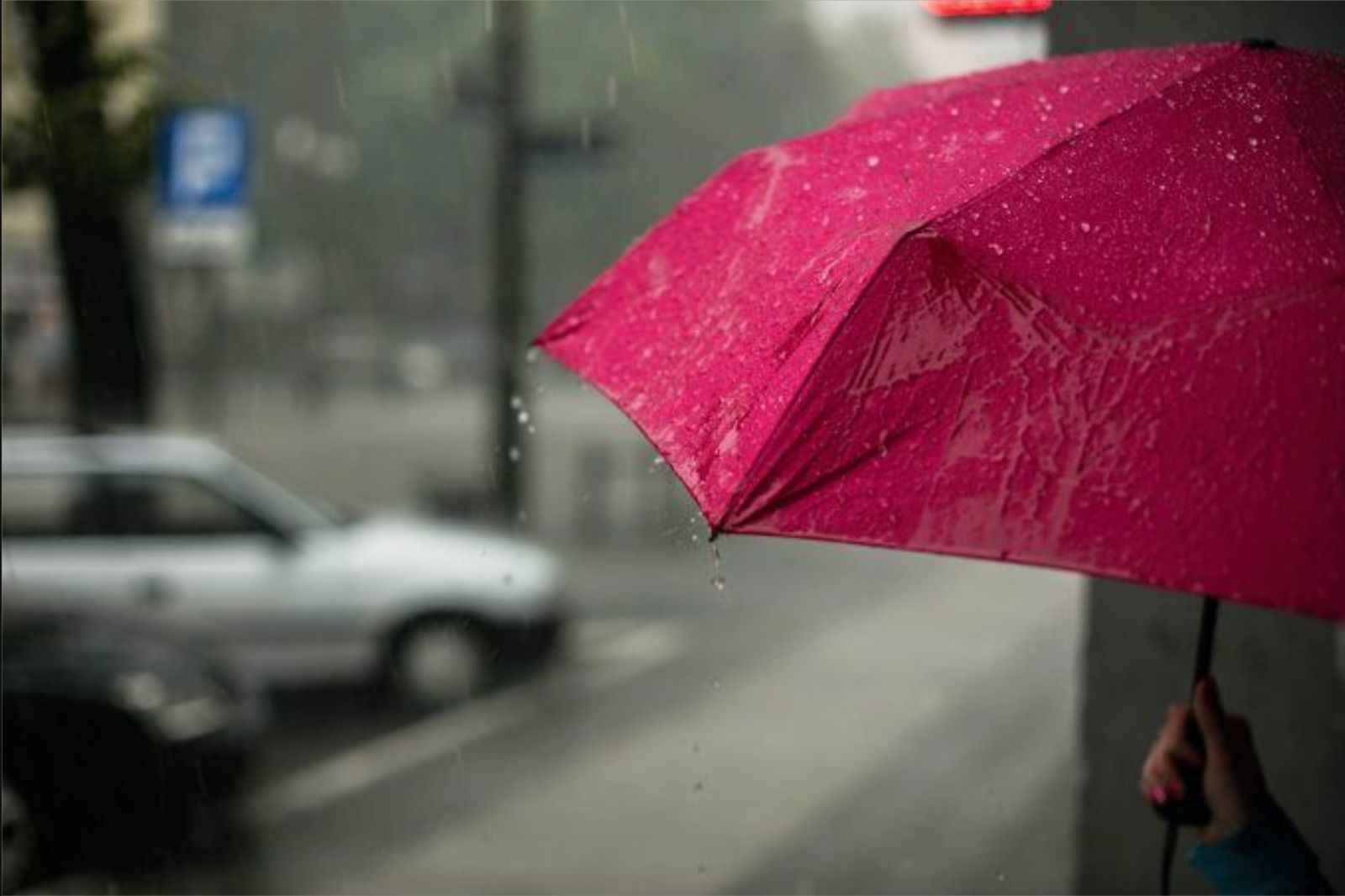 Una persona sosté un paraigua sota la pluja en Alacant