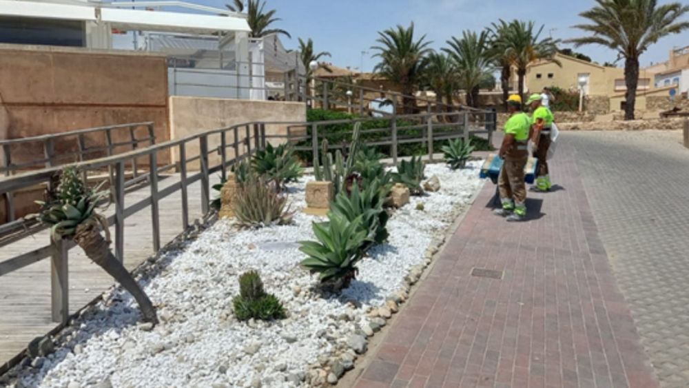 Operarios de Parque y Jardines trabajan en las zonas verdes de Tabarca