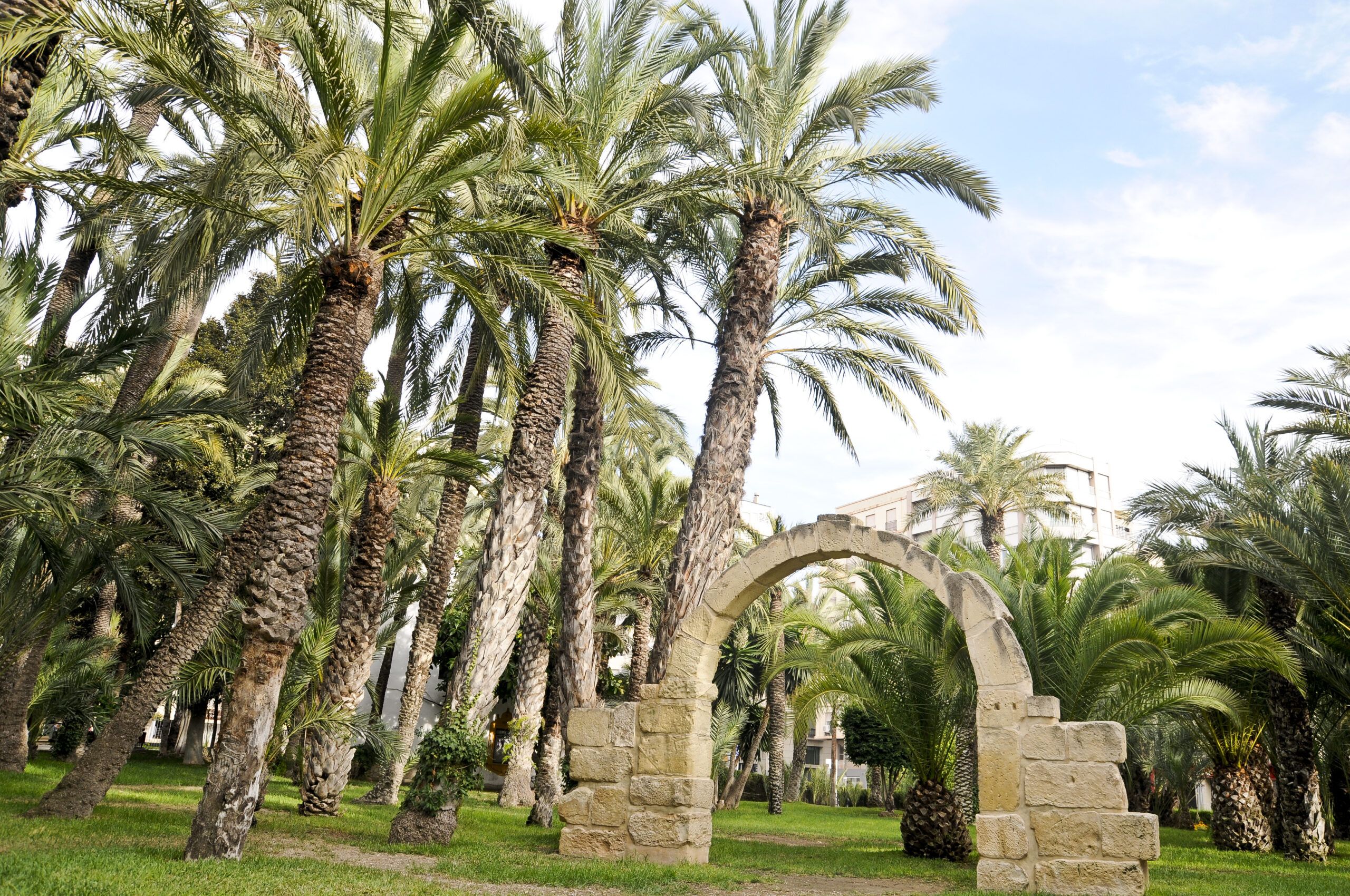 Parque Municial El Palmeral de Elche