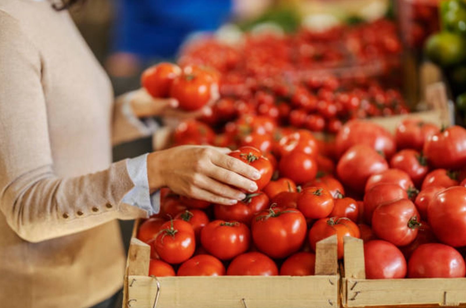 Una persona comprando tomates