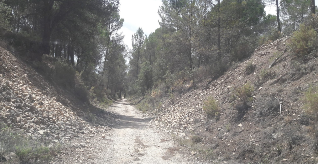 VIA VERDA