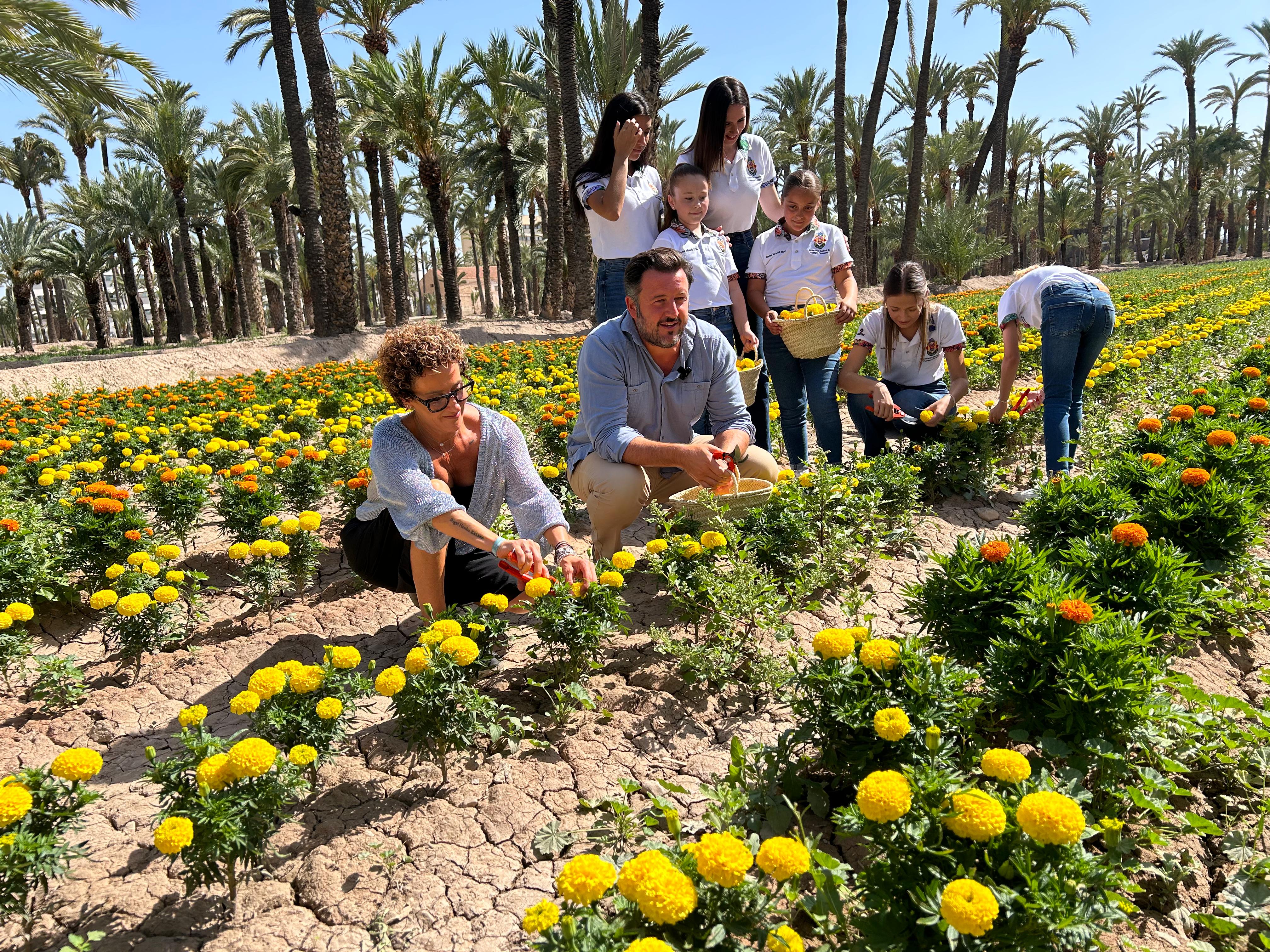 Batalla de Flors de Elx