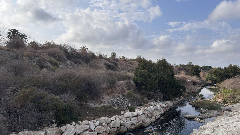 Adecuación del cauce del río Vinalopó