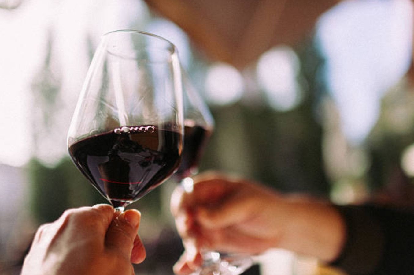 Dos personas disfrutan de una cata de vinos