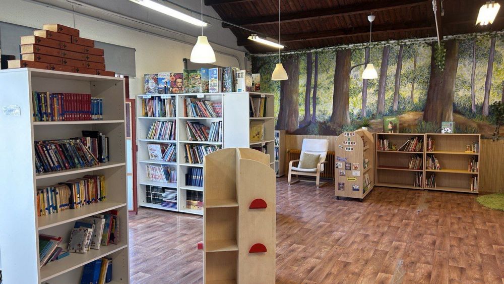 Biblioteca en un colegio de Elche
