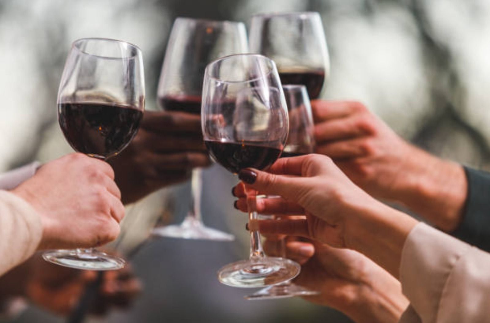 Persones brindant amb copes de vi