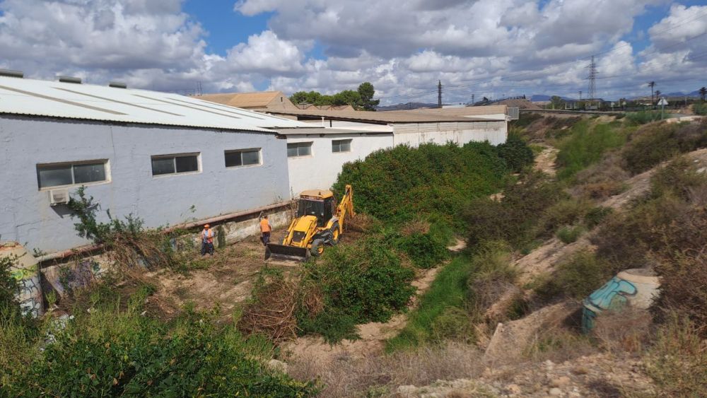 Trabajos de mantenimiento en los barrancos de Elche