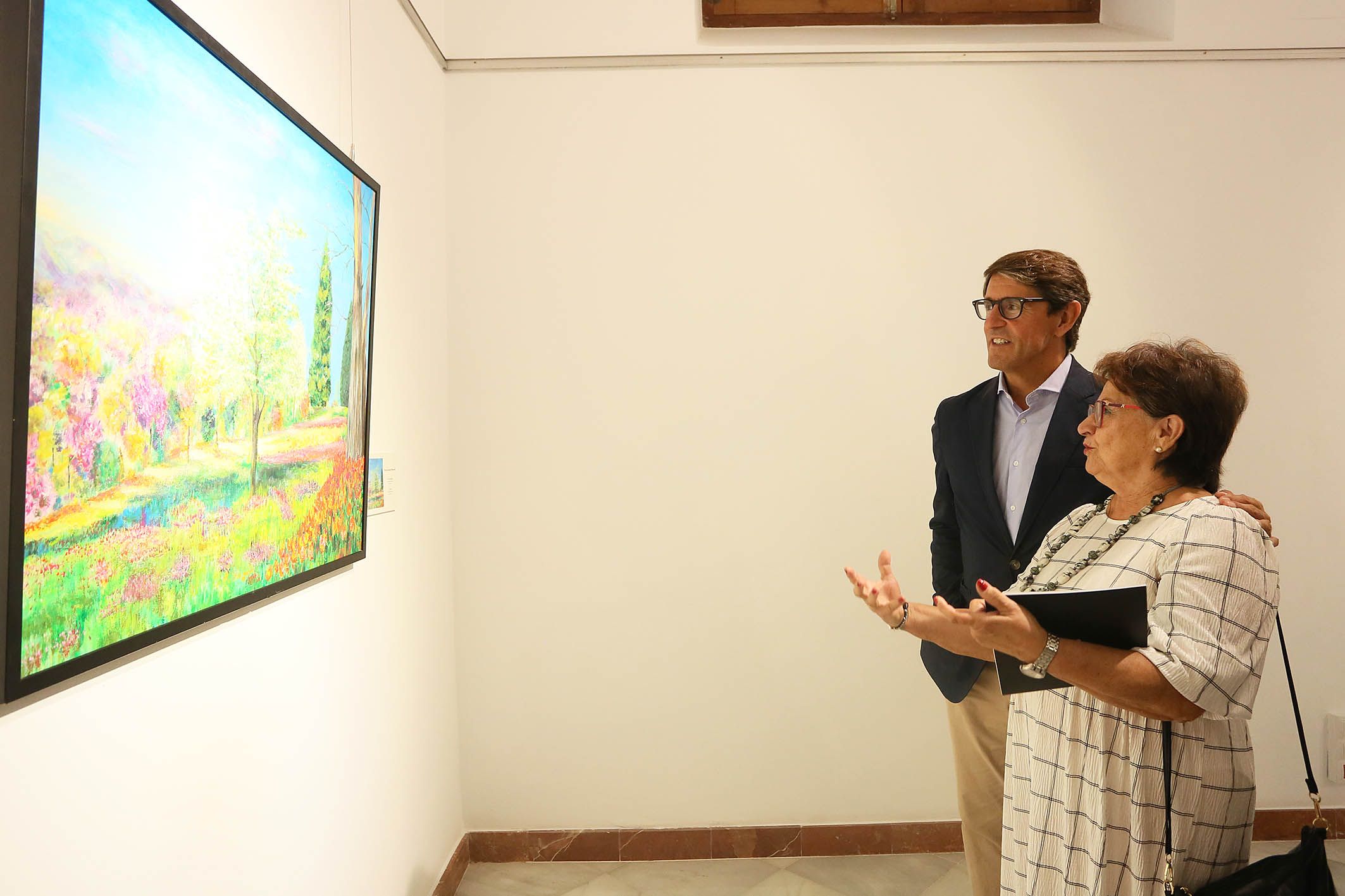 Exposició Il·lusió en la Diputació d'Alacant