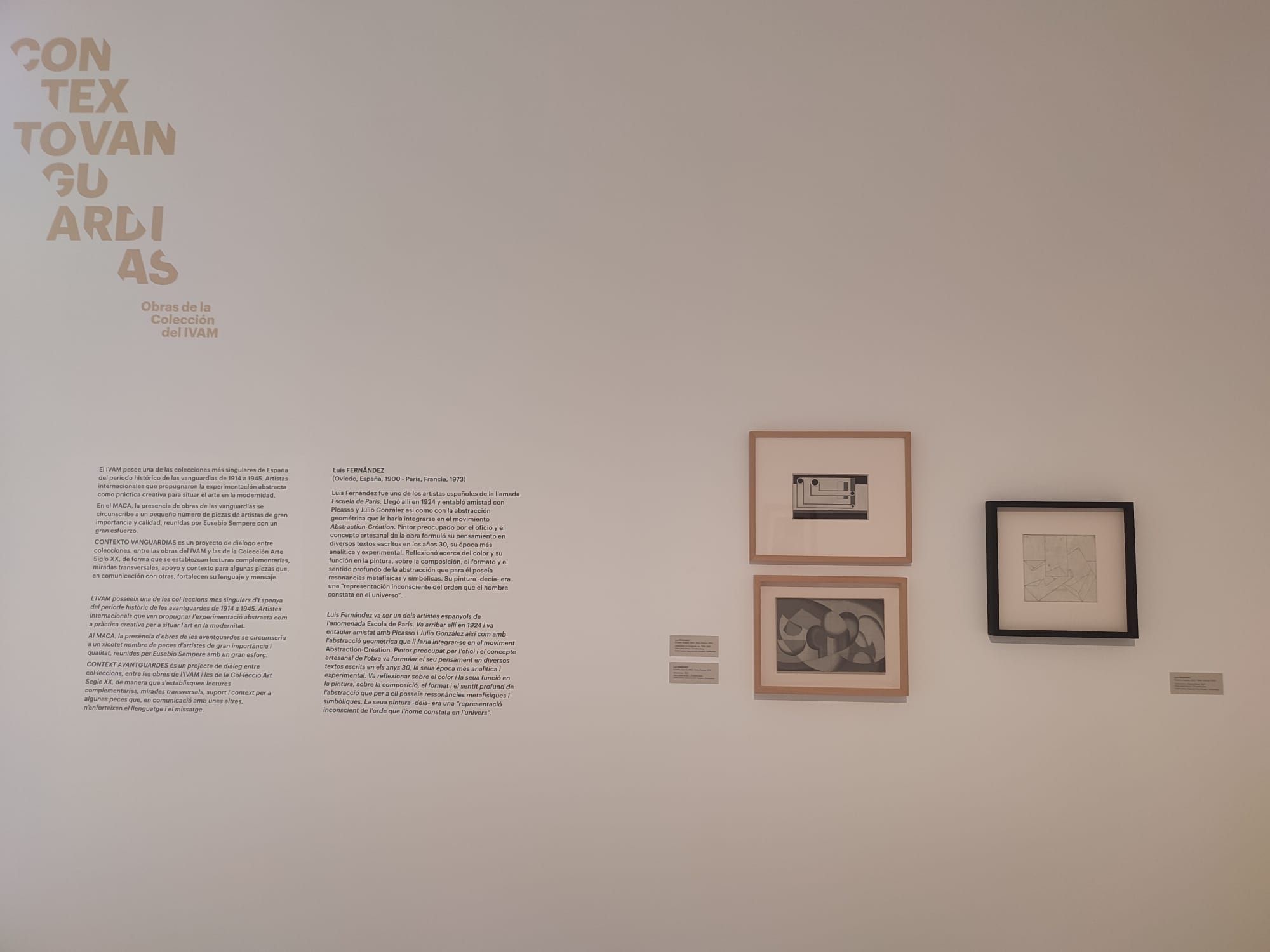 Obres de l'IVAM exposades al MACA d'Alacant