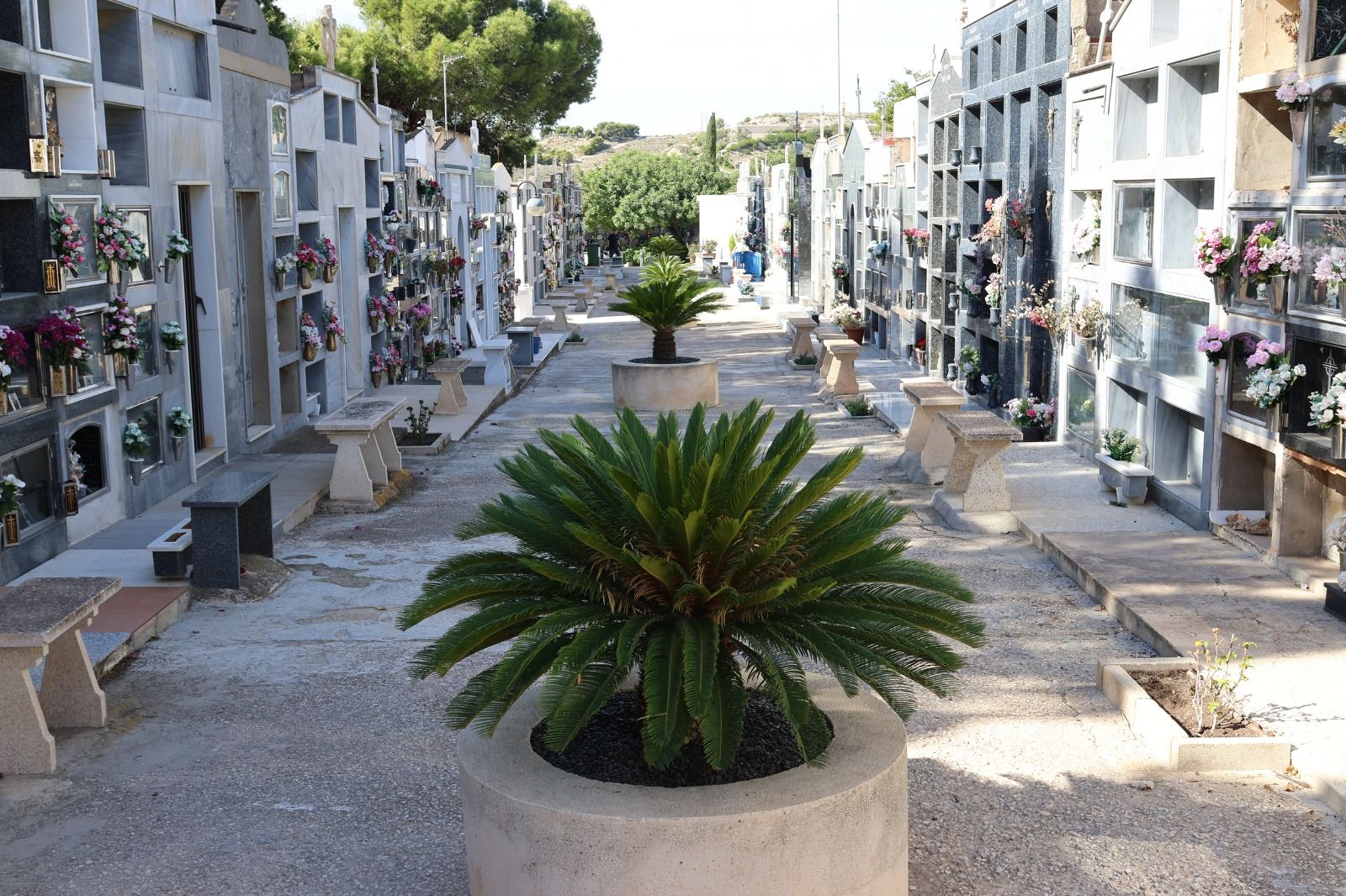 Cementeri de Sant Joan