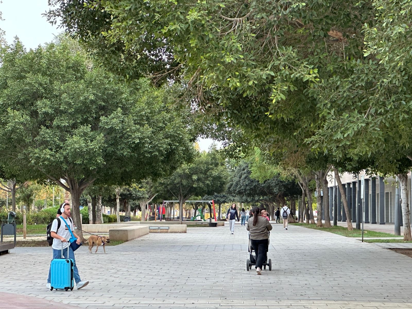 Avinguda Vicente Savall de Sant Vicent