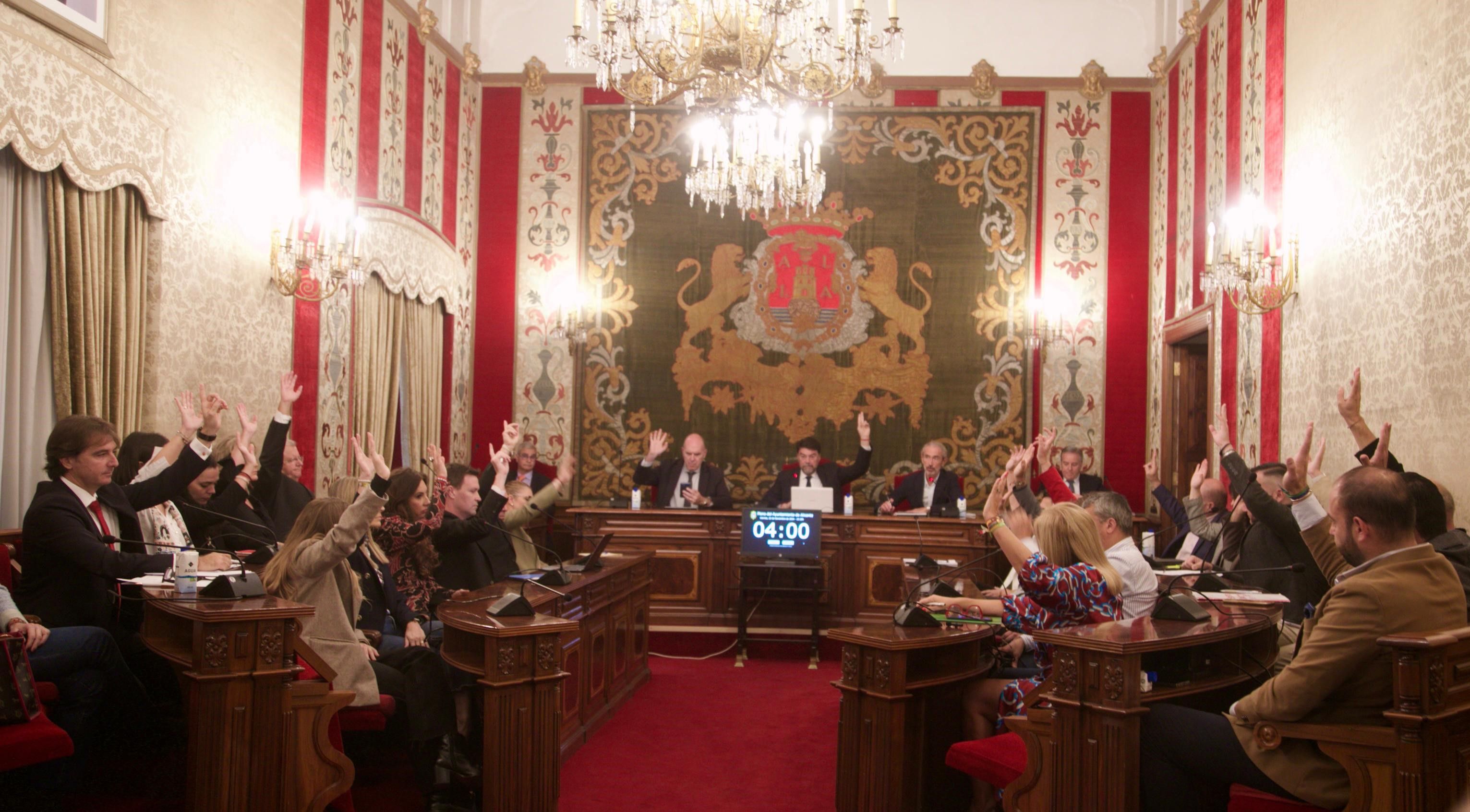 Aprovació unànime de l'ajuda per la DANA a Alacant