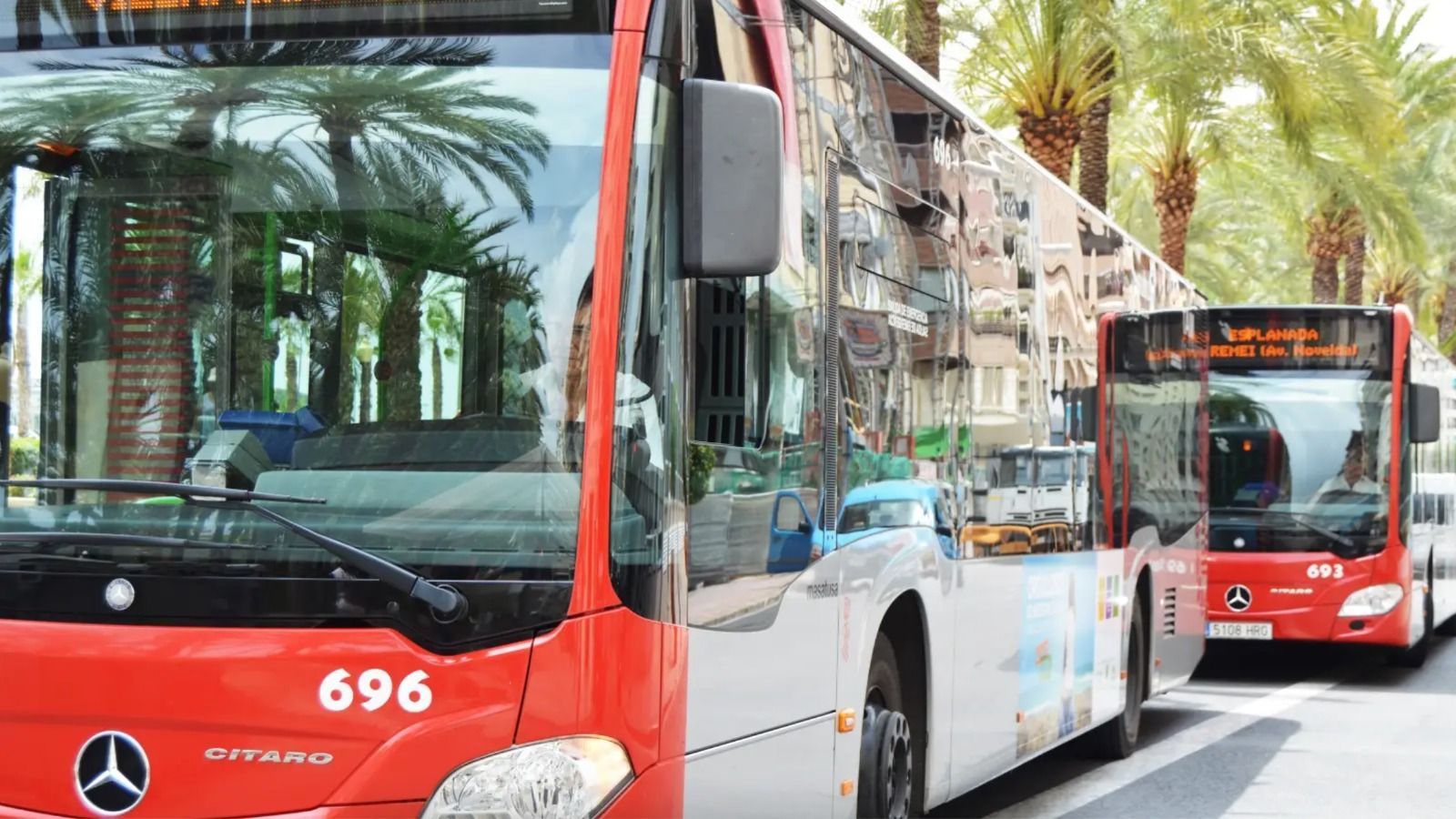 Autobús gratuito en Alicante