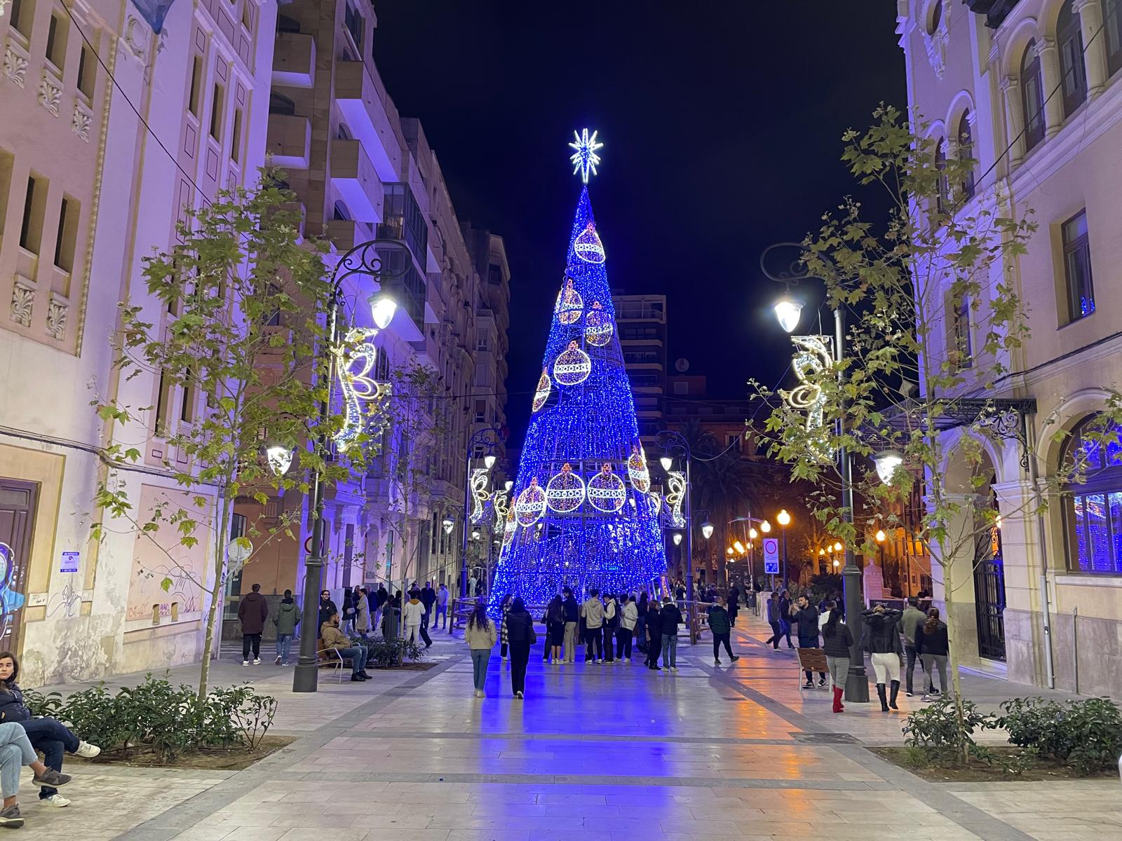 Árbol gigante de Alicante