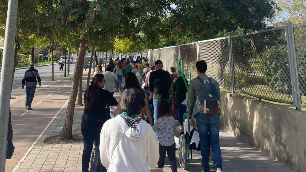 Marxa reivindicativa pel dia de la Diversitat Funcional a Alacant