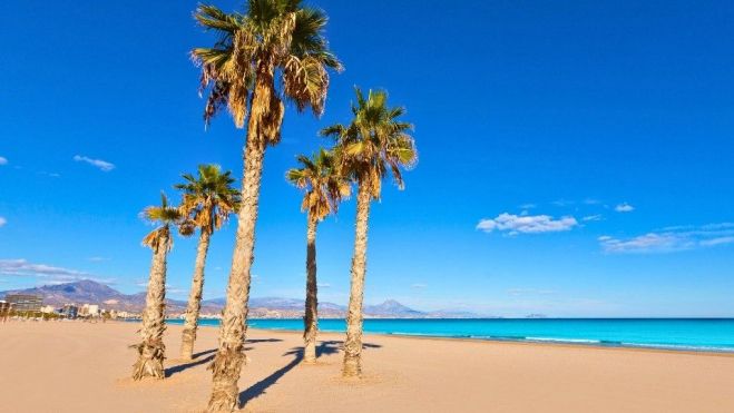 Palmeras en la playa de San Juan de Alicante