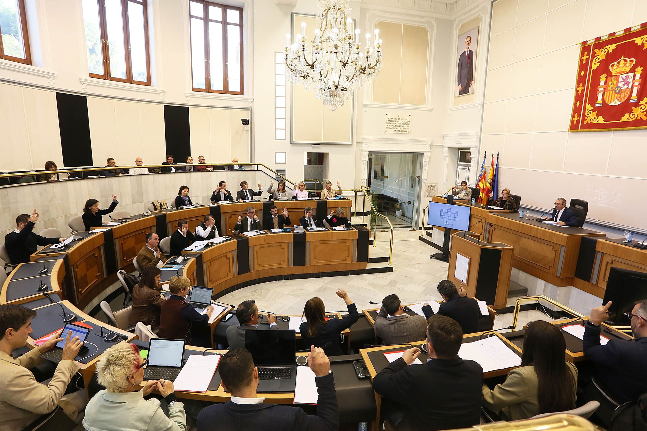 Ple ordinari de la Diputació d'Alacant