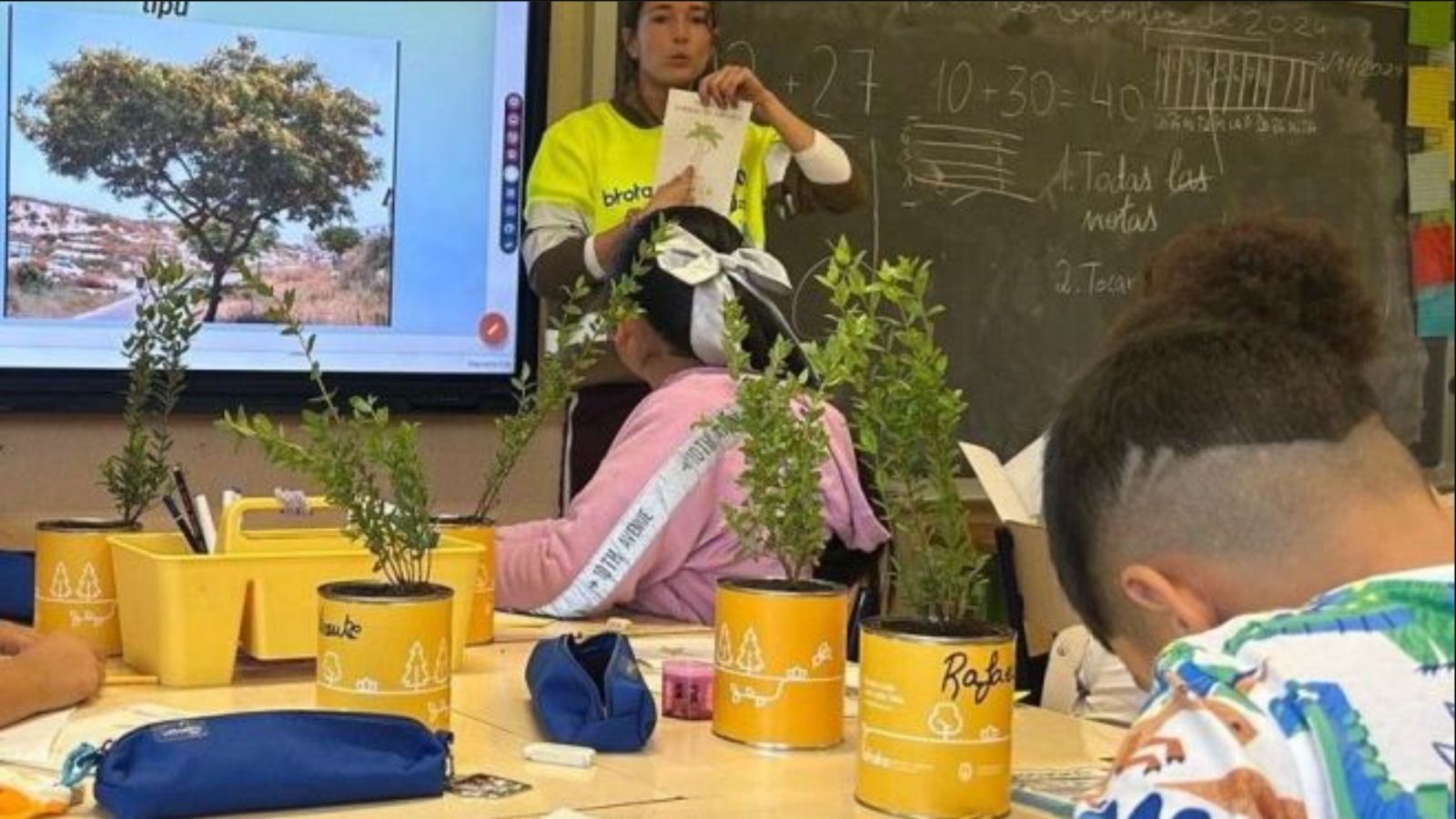 Activitats escolars de Medi Ambient a Alacant
