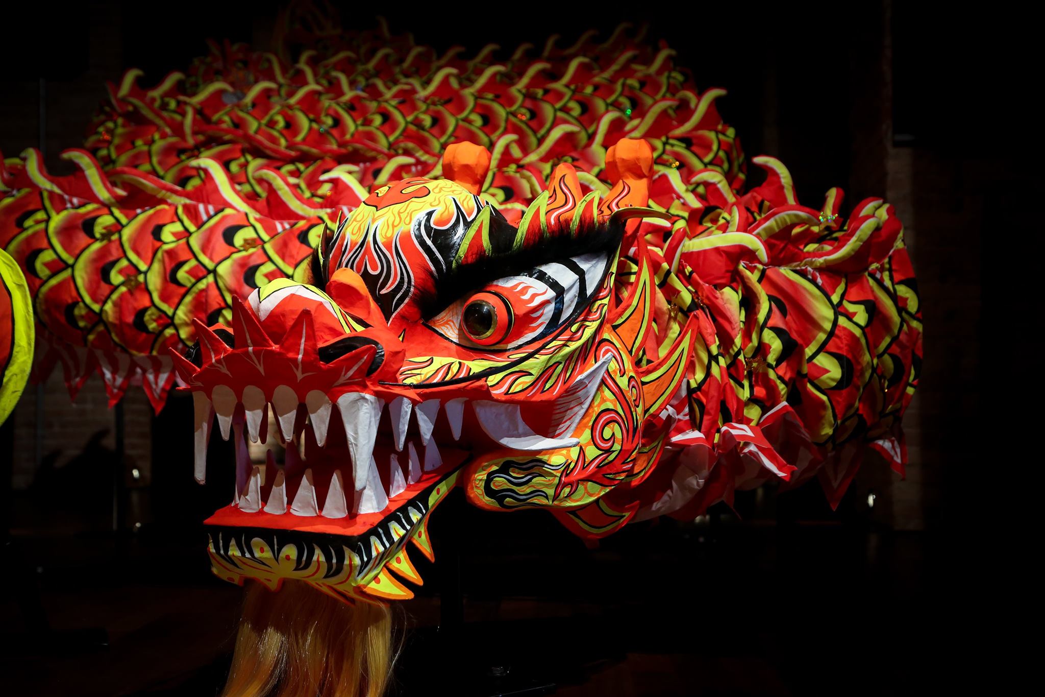 Dragón del Año Nuevo Chino