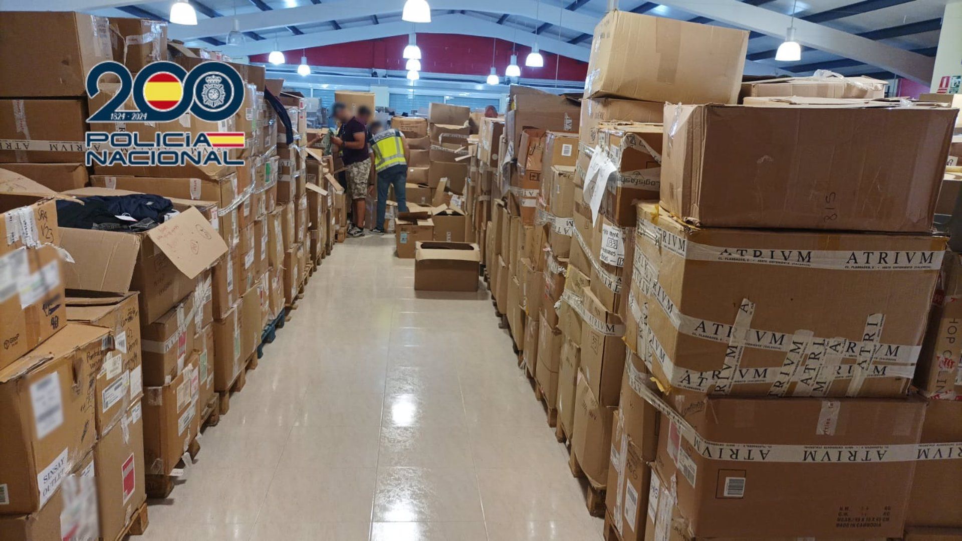 Peces interceptades a la xarxa il·legal que operava a Alacant i Múrcia