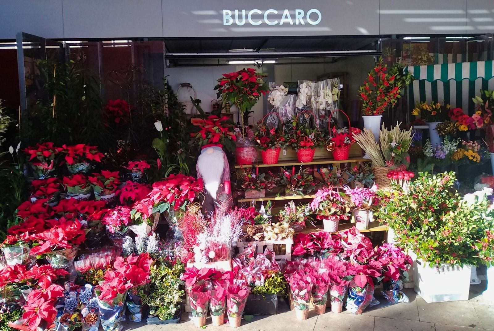 Puesto de flores del Mercado Central de Alicante