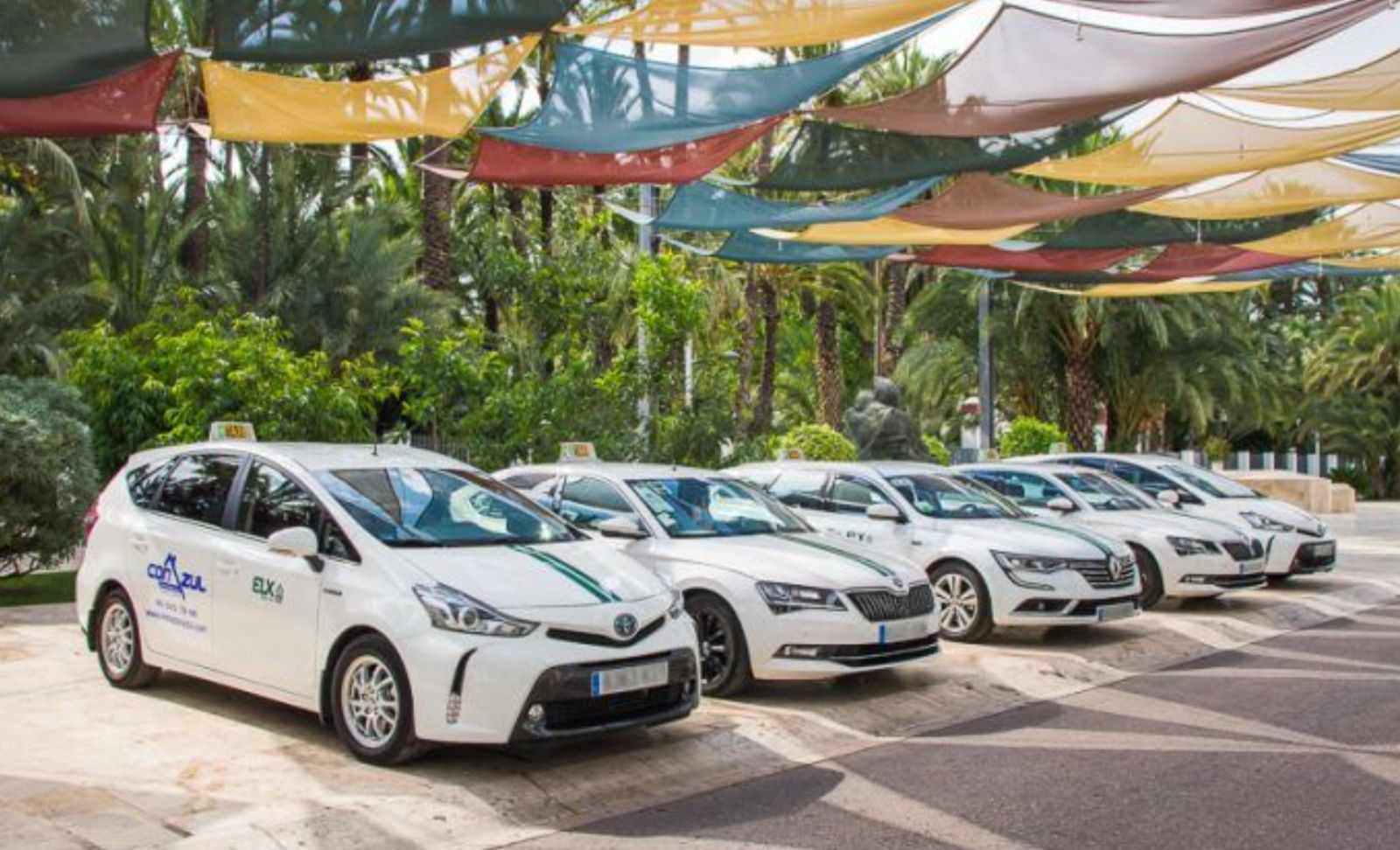Diversos taxis a la ciutat d'Elx