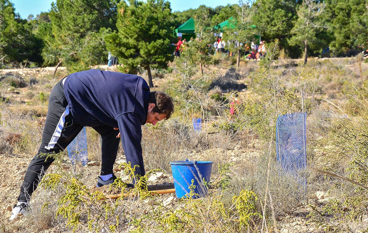 Reforestación del Monte Orgegia en Alicante