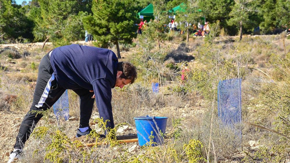 Reforestación del Monte Orgegia en Alicante Reforestación del Monte Orgegia en Alicante