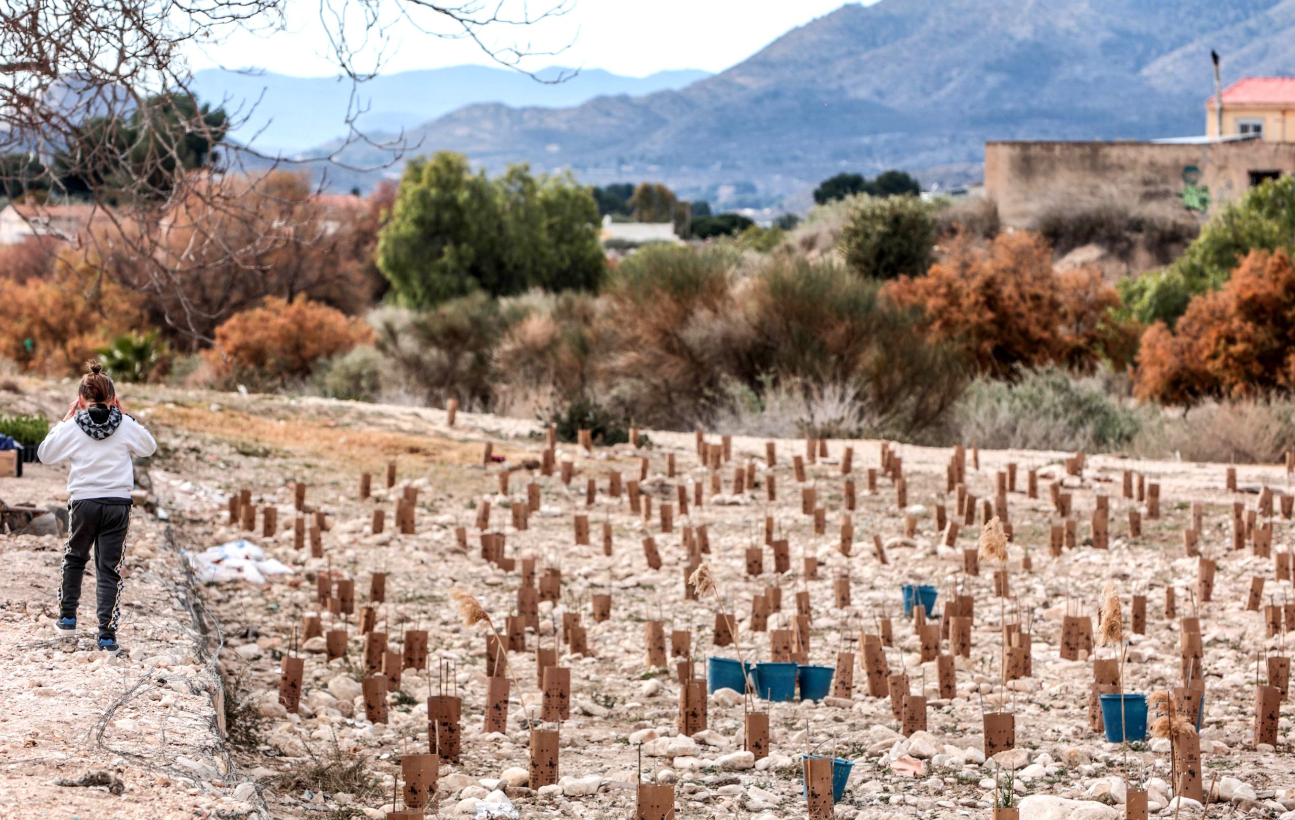Setmana de la reforestació d'Elda