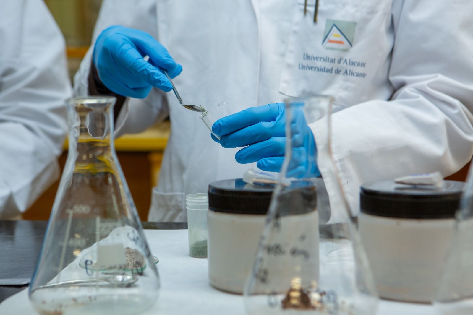 Investigación del sustrato de cultivo para tomates con posidonia oceànica Investigación del sustrato de cultivo para tomates con posidonia oceànica