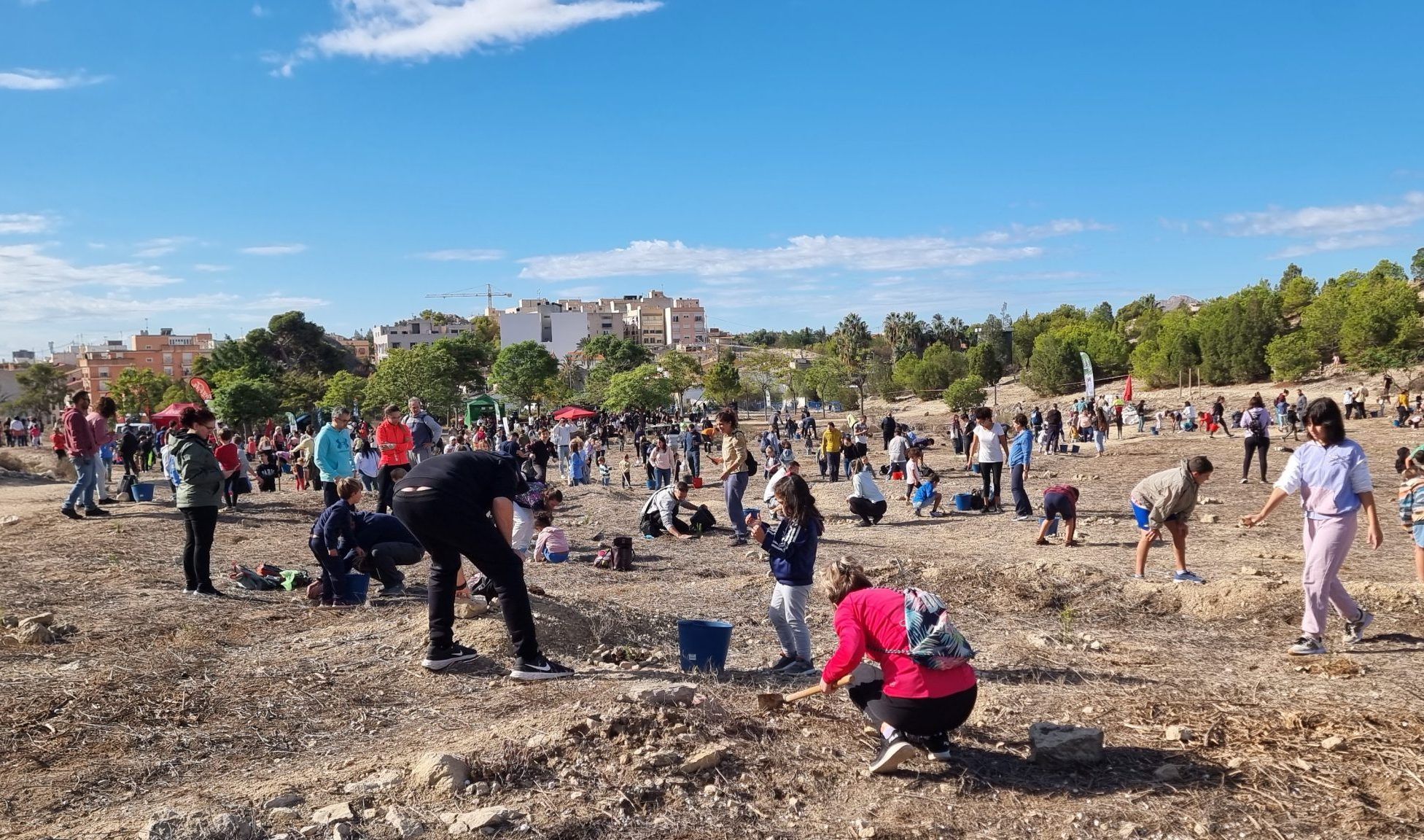 Actividad de Reforestación de Alicante Renace