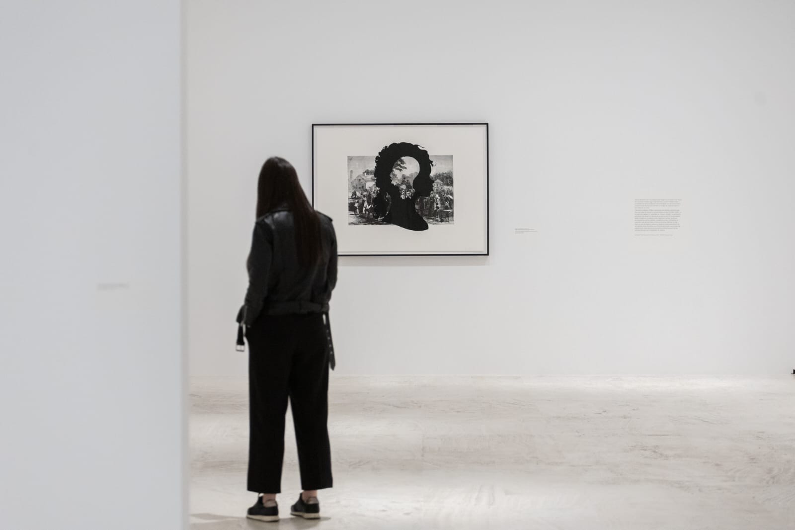 Exposició de Kara Walker al MACA d'Alacant